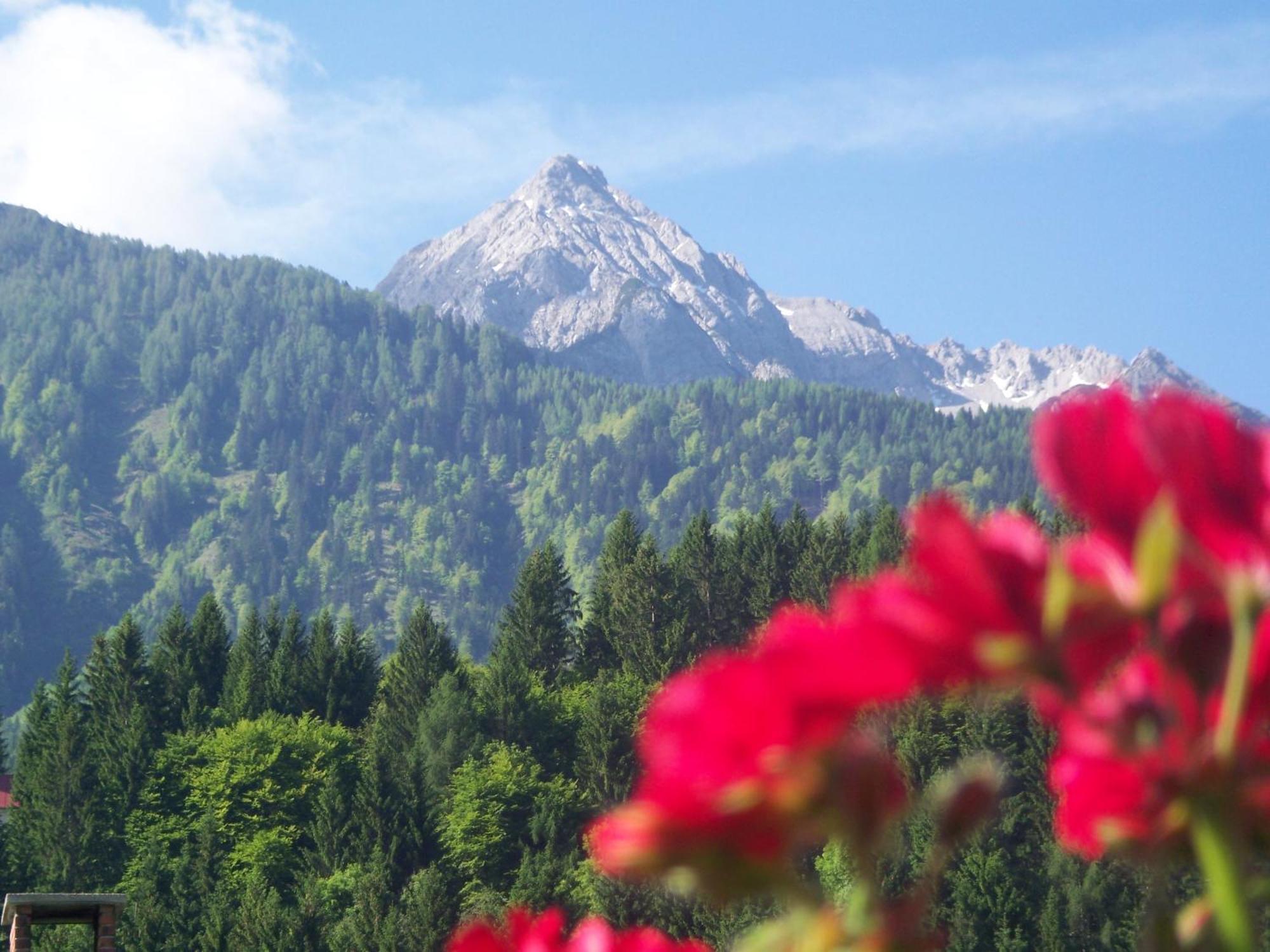 Landhaus Zoppoth Kotschach-Mauthen Екстер'єр фото